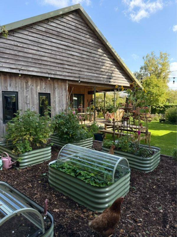 Vanessa Price Kitchen Garden Blog 3